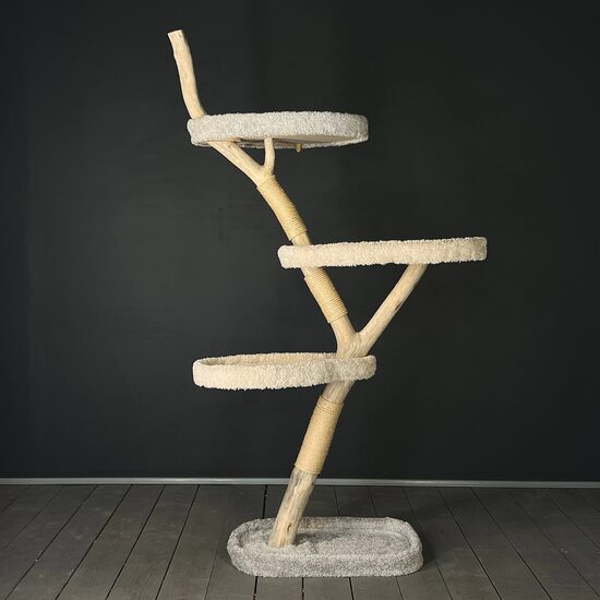 Divkrāsains kāpelēšanas koks 