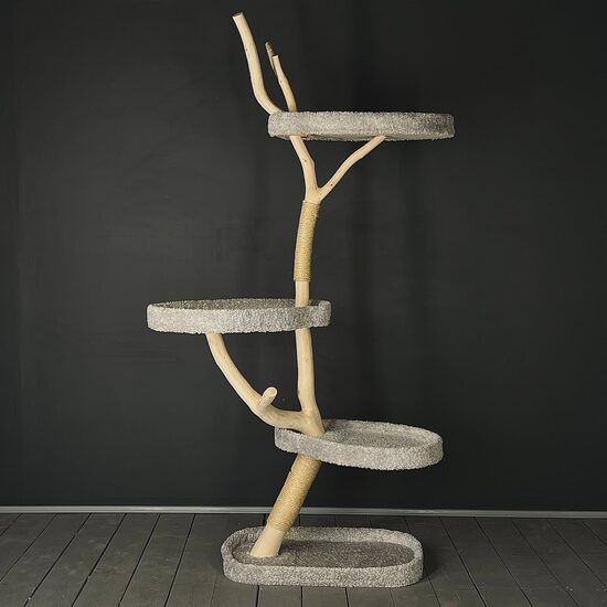 Divkrāsaisn kāpelēšanas koks